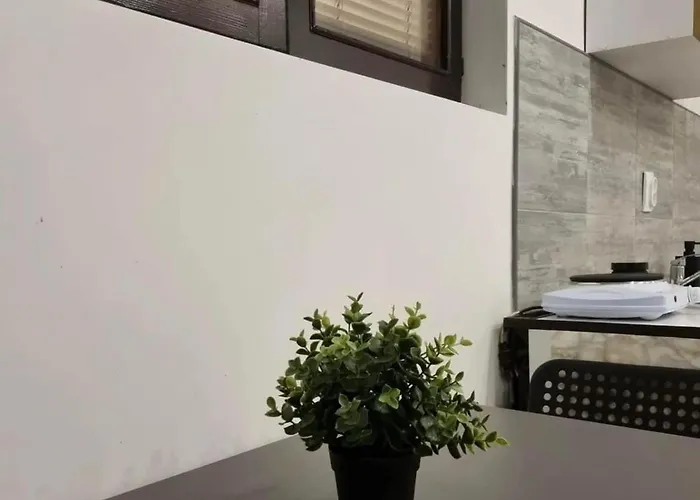 Melem 3 * Soko Banja